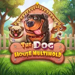 The Dog House Multihold game at Casino Purple for United Kingdom players